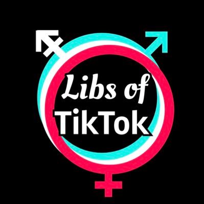 AB, Meta ve TikTok'a Dezenformasyonla Mücadele Çağrısı Yaptı