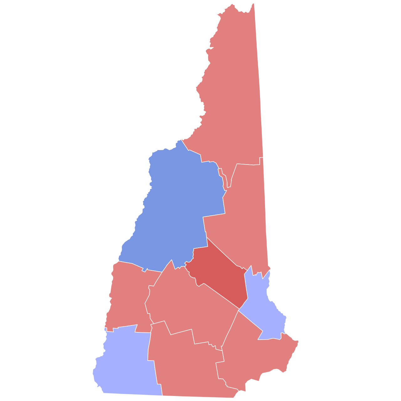 ABD Ara Seçimleri: New Hampshire Ön Seçimlerinin Öne Çıkanları