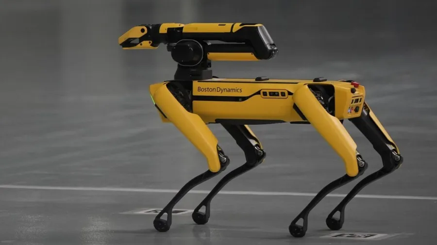 ABD Göçmenlik Dairesi, robot köpekler için 2 milyon dolar harcayacak
