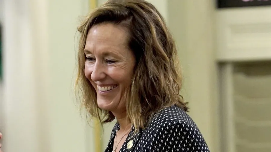 ABD: Kaliforniya'da Irwin, Brownley'in koltuğuna aday