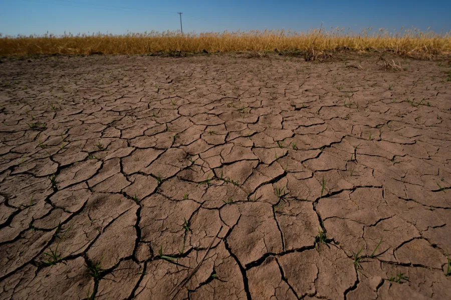 ABD'de 'Mini Toz Fırtınası' Uyarısı: El Niño Etkisiyle Felaket mi Geliyor