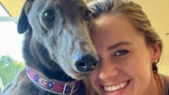 ABD'de Yarışı Reddeden Greyhound Köpek Yeni Yuva Buldu