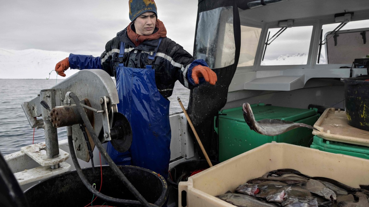 ABD'nin yeni güvenlik doktrini: Grönland deniz ürünlerine Çin yasağı mı