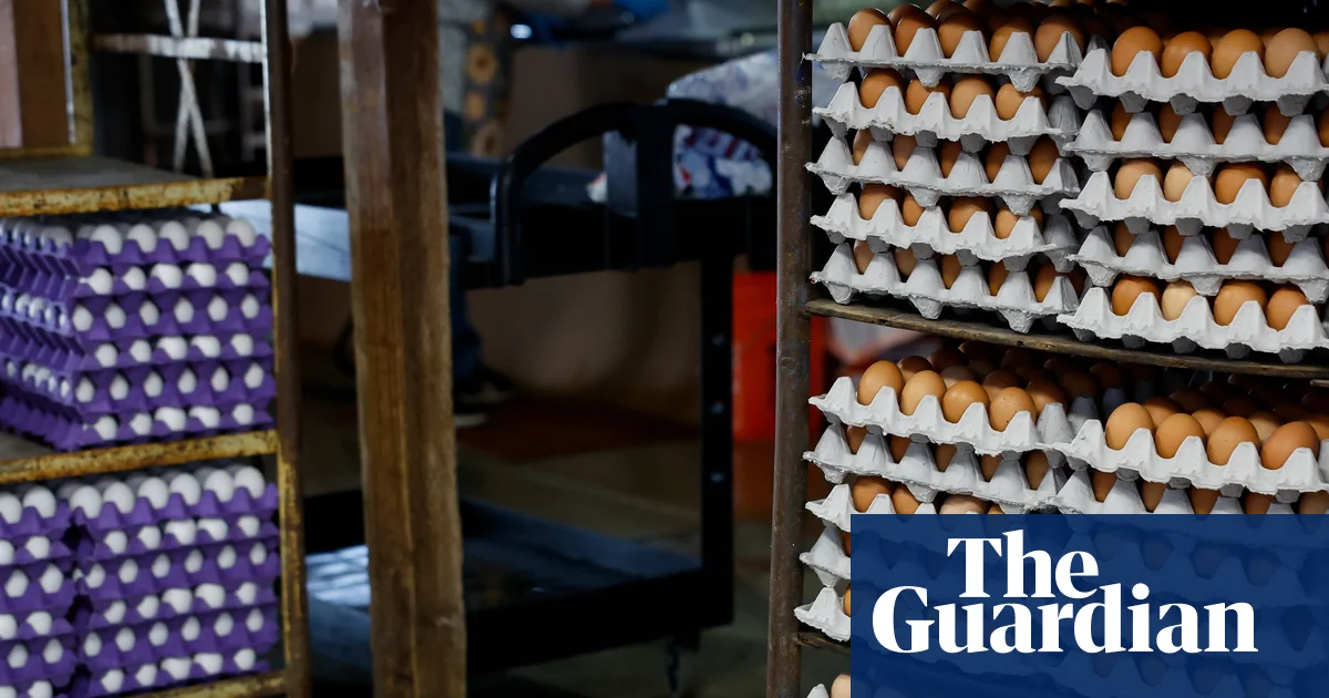 ABD'de 1,6 Milyon Yumurta Salmonella Tehdidiyle Geri Çağrıldı