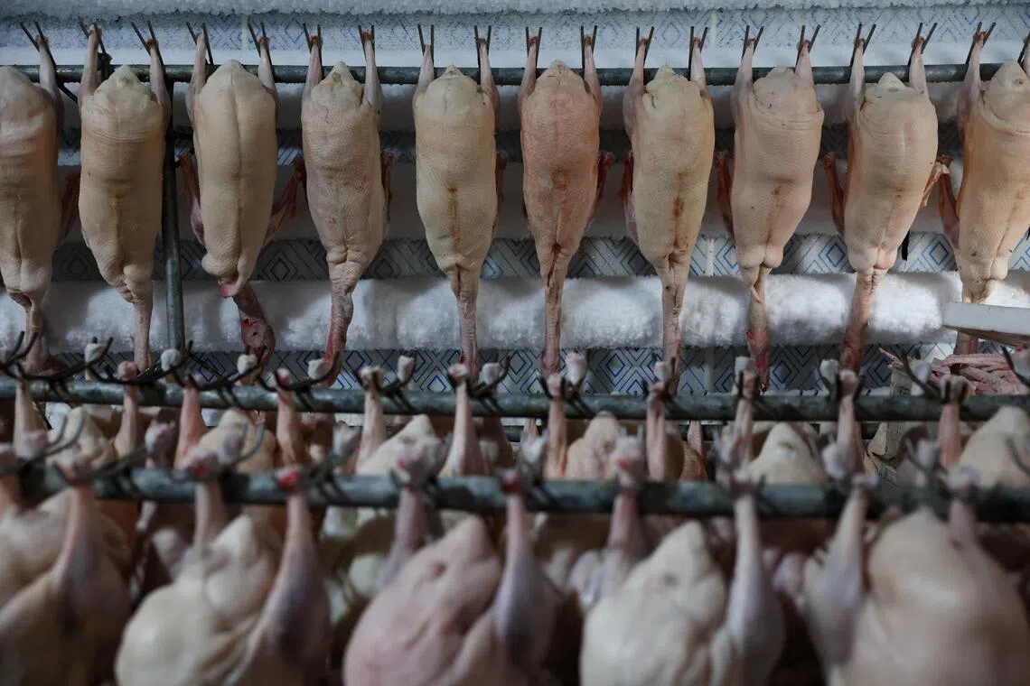 AB’nin Pekin ördeği soruşturması Çin’le yeni ticaret dalgasını işaret ediyor