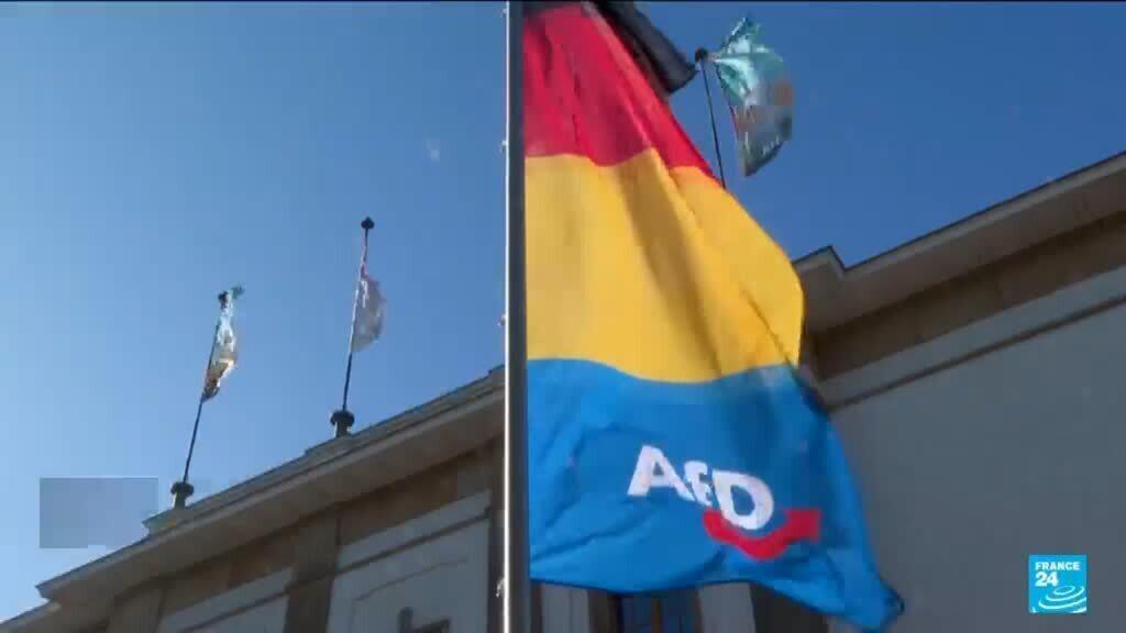 AfD'nin Saksonya-Anhalt planı: Ayrımcı okullar ve vatandaş gözlem grupları