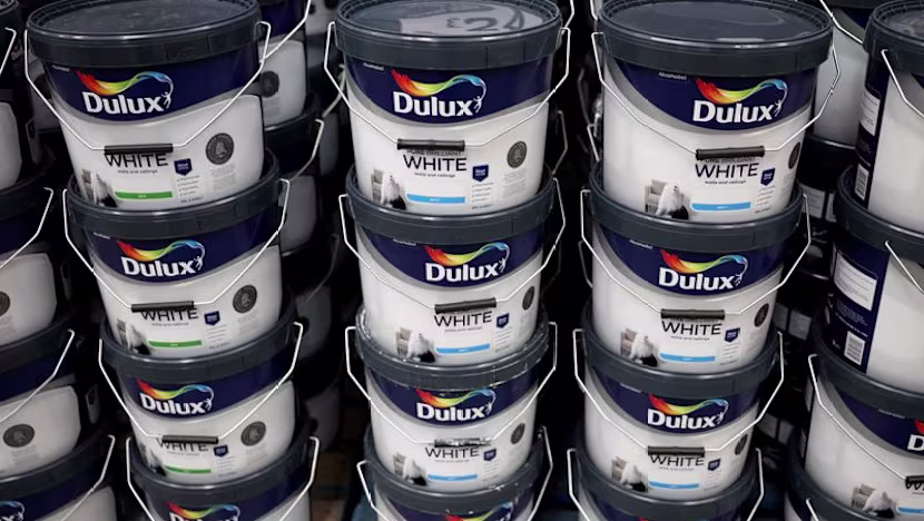 AkzoNobel, Nippon Paint'e 1 milyar doların üzerinde satış yapabilir