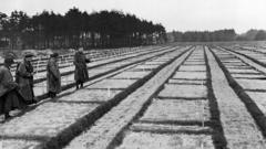 Almanya: 105 Yaşındaki Nazi Kampı Şüphelisi Soruşturma Altında