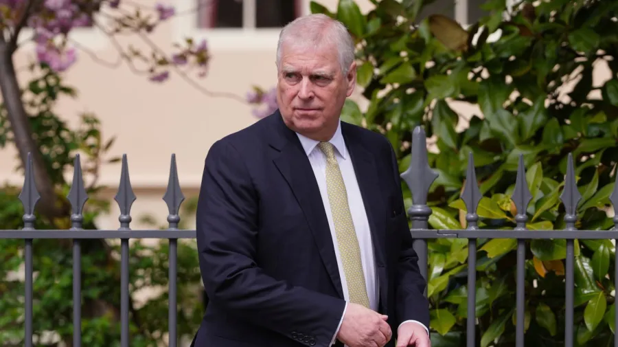 Andrew Mountbatten-Windsor, Epstein bağlantılı gözaltı için polise dava açtı