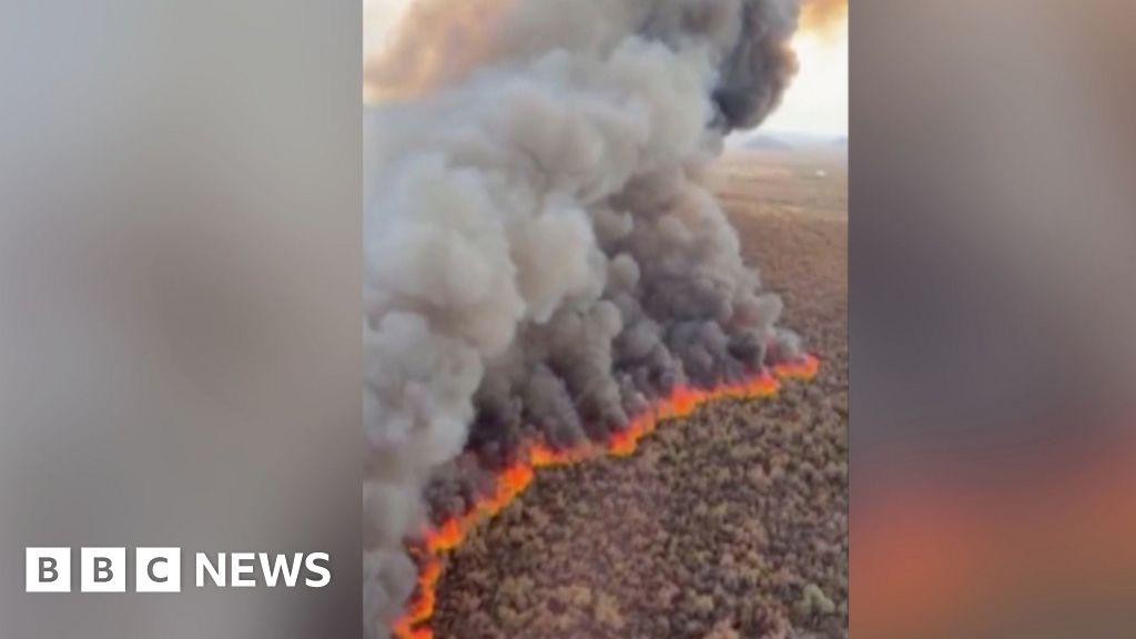 Arizona'da Büyük Orman Yangını: 558 Dönüm Küle Döndü