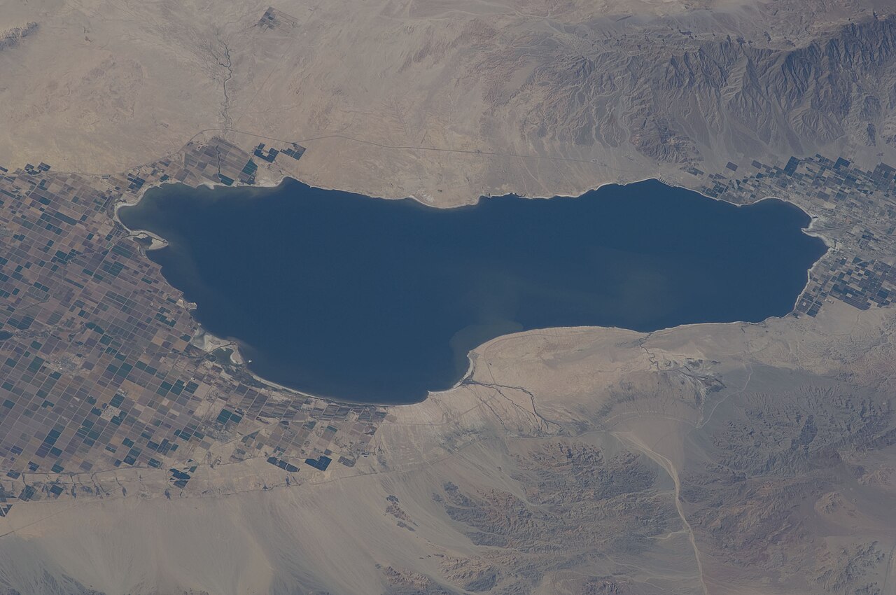 Arizona'daki gölde tüm balıklar öldü, popüler tatil bölgesi süresiz kapatıldı