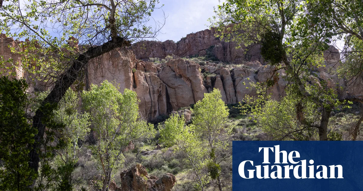 Arizona'da 2,5 Yıl Ormanda Yaşayan Adam 450 Kilo Çöp Arasında Yakalandı