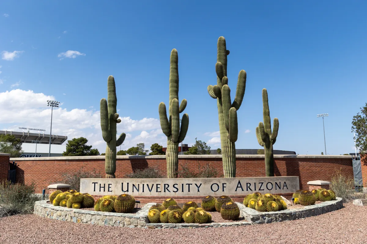 Arizona Üniversitesi 6 Kardeşlik Kulübünü Askıya Aldı