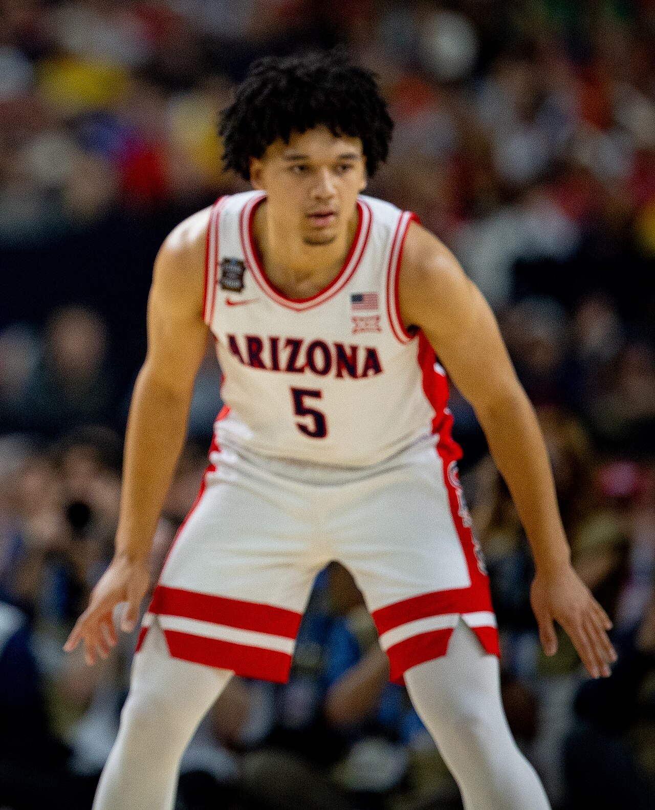 Arizona'nın Brayden Burries'ı NBA Mock Draft'larında Yükseliyor