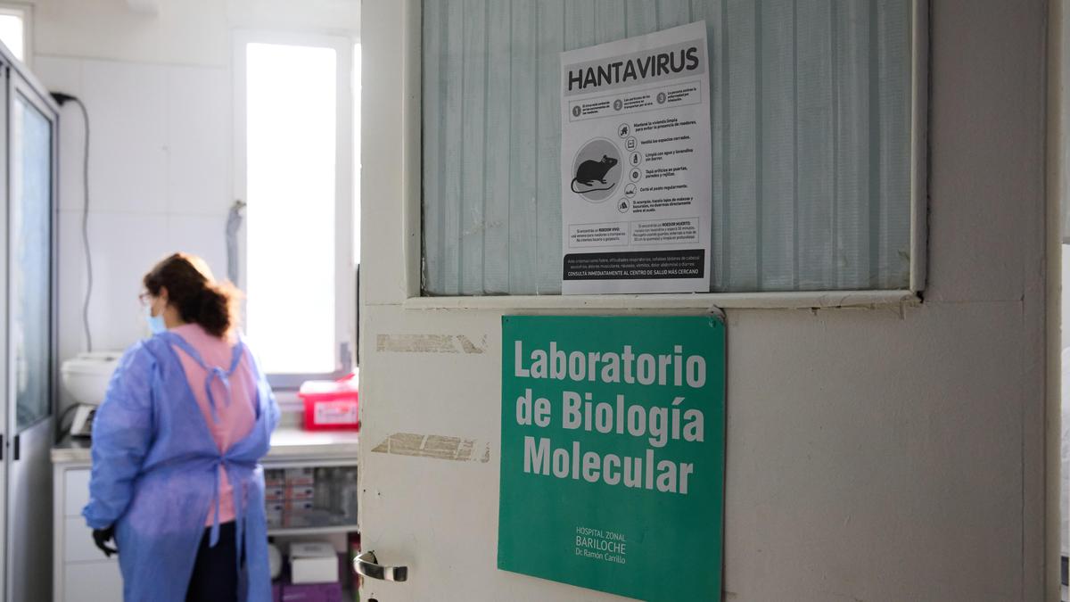 Arjantin hantavirüs soruşturmasını genişletiyor; Mendoza'da fareler test edilecek