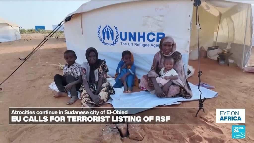 Avrupa Parlamentosu'ndan Sudan'daki HDK'ye terör yaptırımı çağrısı