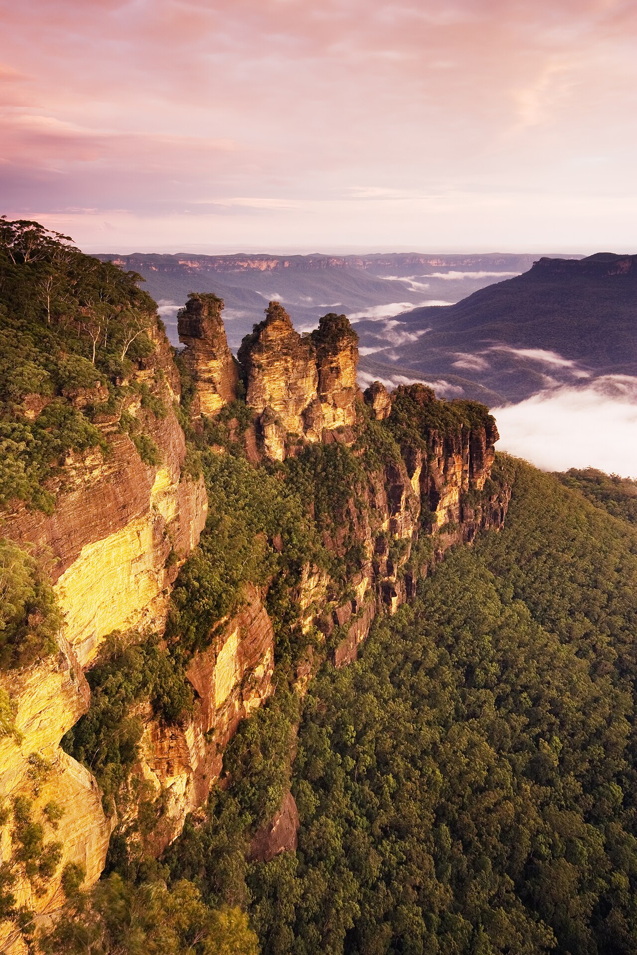 Avustralya'da Blue Mountains bıçaklı saldırı: 1 çocuk öldü, 3 yaralı
