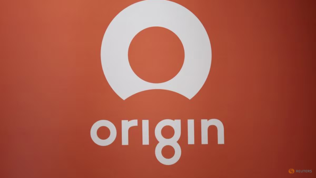 Avustralyalı Origin Energy müşteri verilerinin sızdırıldığını doğruladı