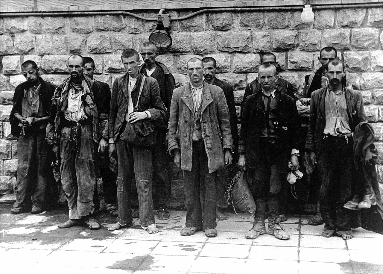 Avusturya'da Nazi kampı arazisine iş merkezi öfkesi