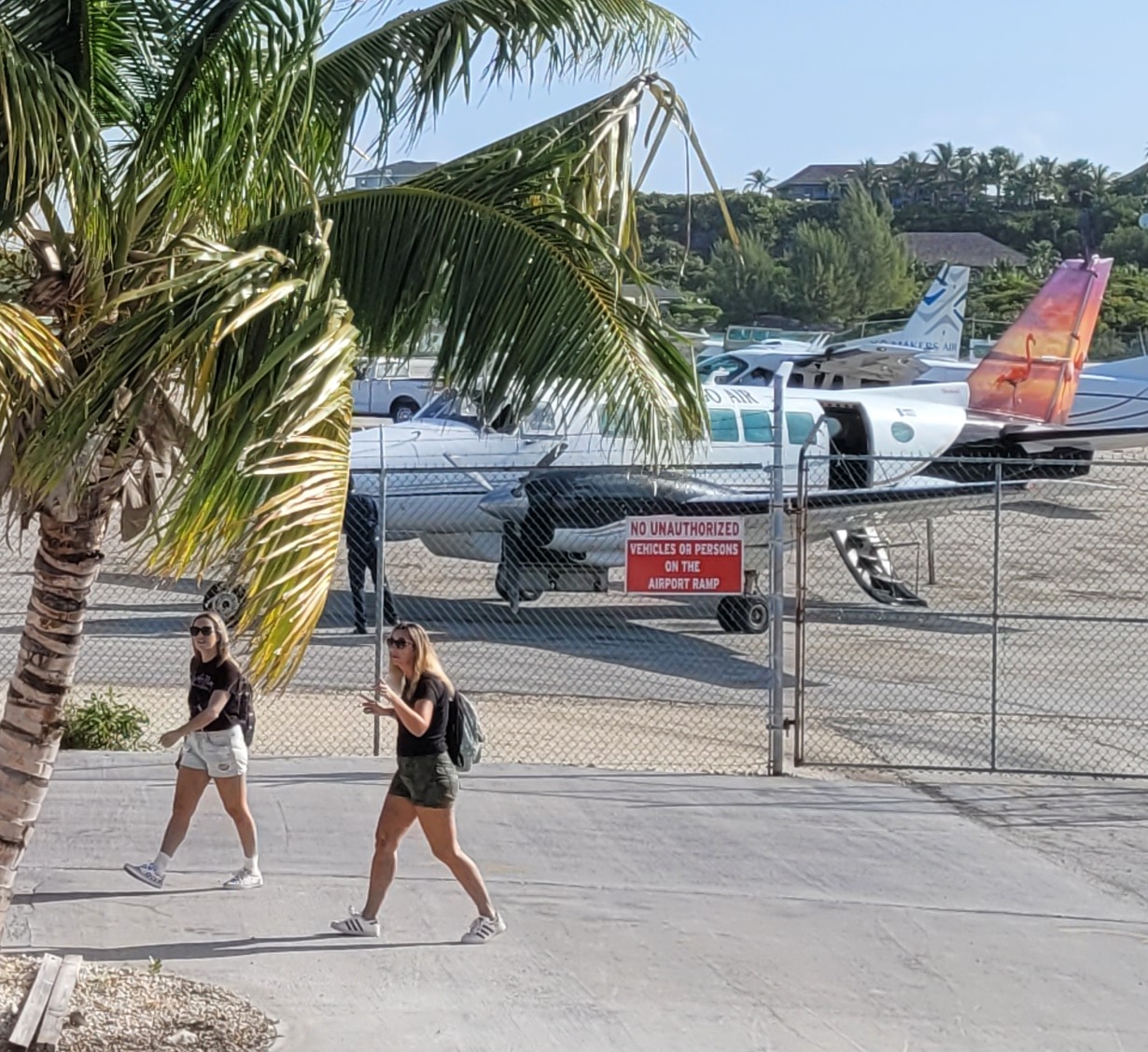 Bahamalar'da Uçak Kazası: 10 Kişi Hayatını Kaybetti