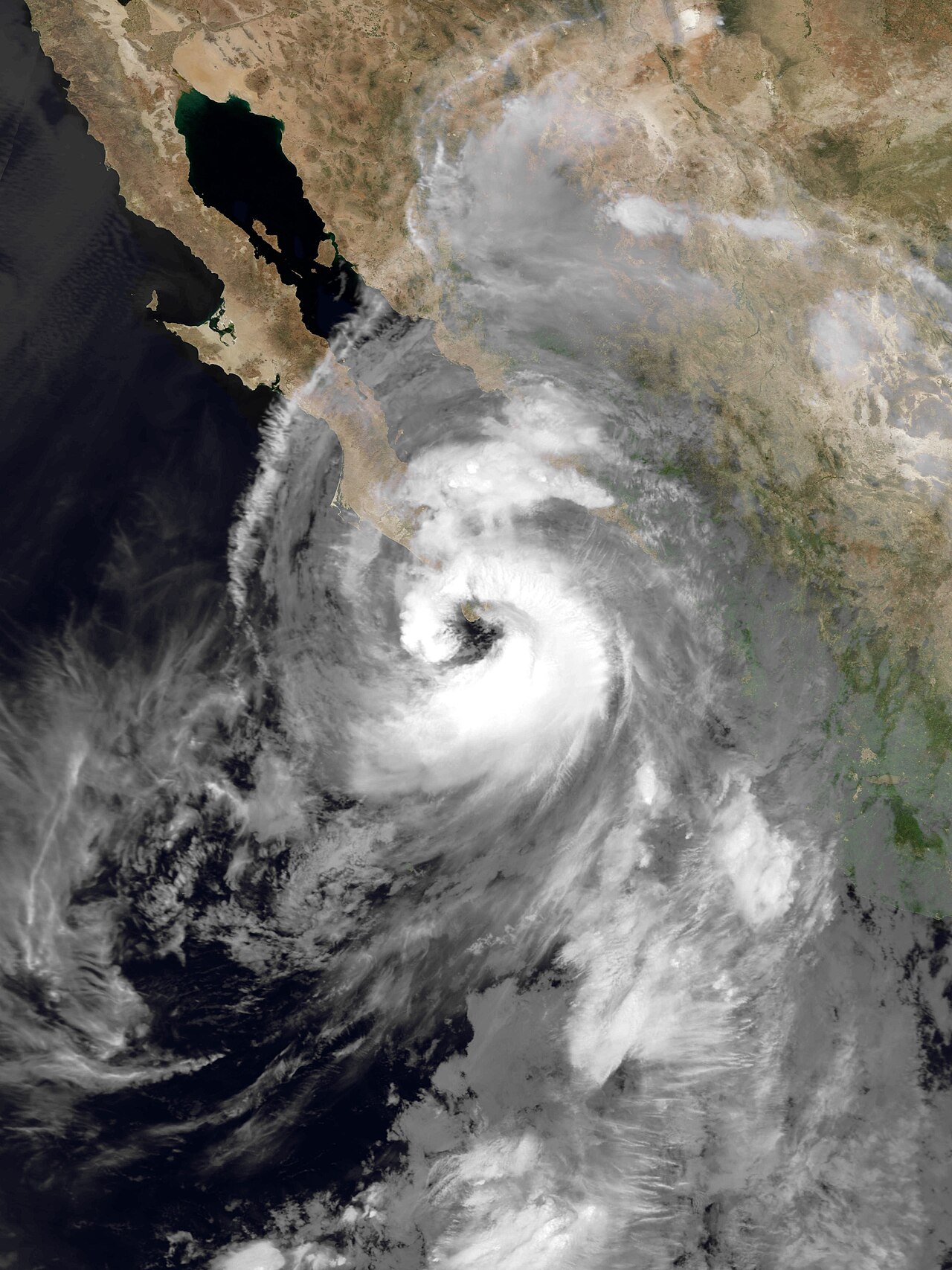 Baja California açıklarında tekne alabora oldu: 27 kişi hayatta kalmak için mücadele ediyor
