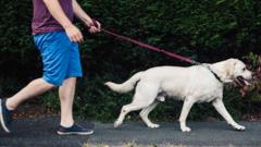 Bakanlar köpek sahipliği lisans planını reddetti