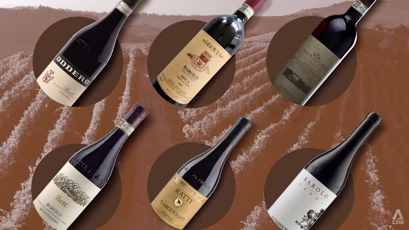 Barolo, Barbaresco ve Roero Şarapları: 300 Nebbiolo Test Edildi