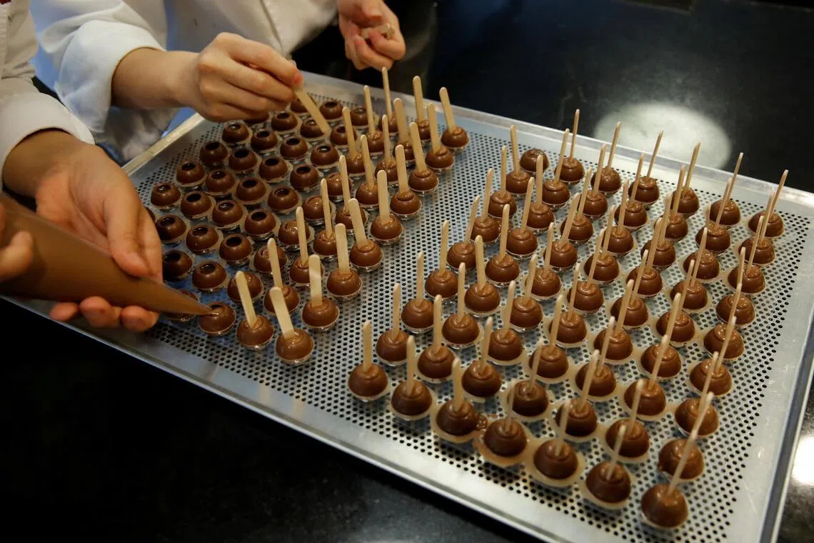 Barry Callebaut'tan Kakao Krizinde İyimserlik Mesajı