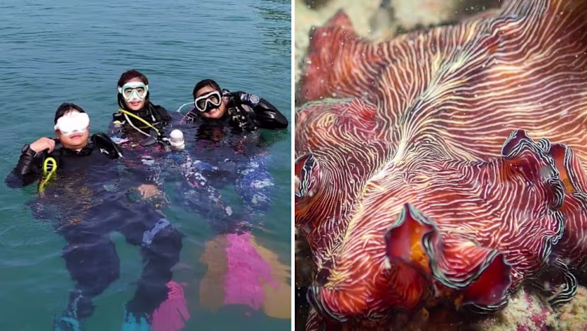 Batı Adaları'nda Planlanan Turizm Gelişimi Biyolojik Çeşitlilik Endişelerini Artırıyor
