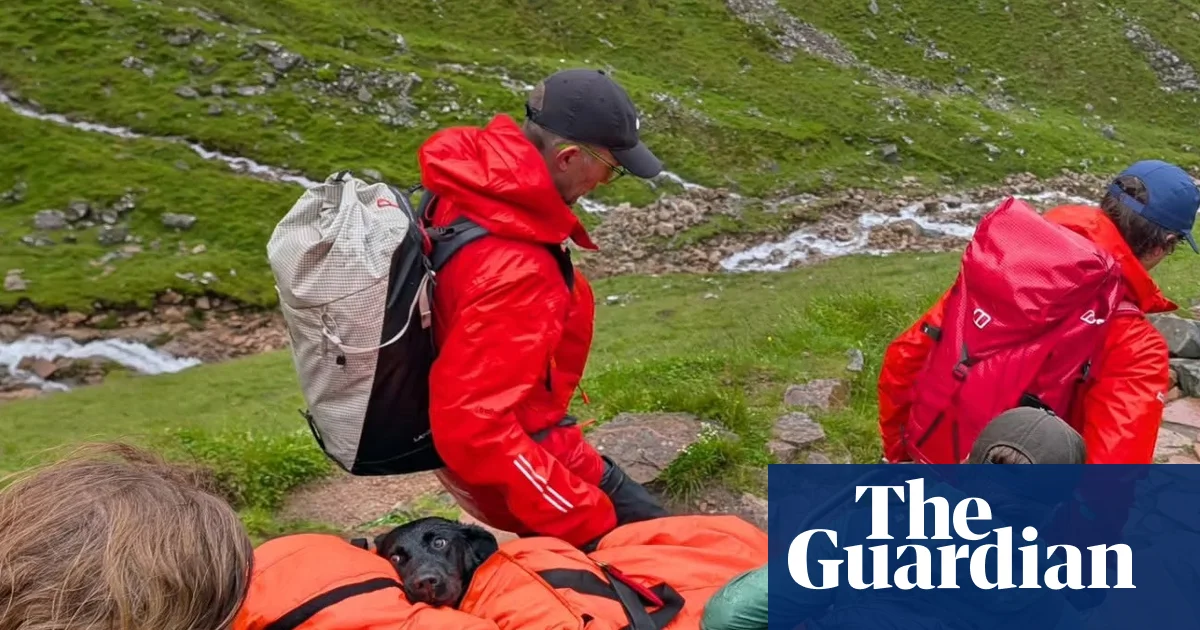 Ben Nevis'te atılan uyuşturucu köpeği zehirledi: Labrador kurtarıldı