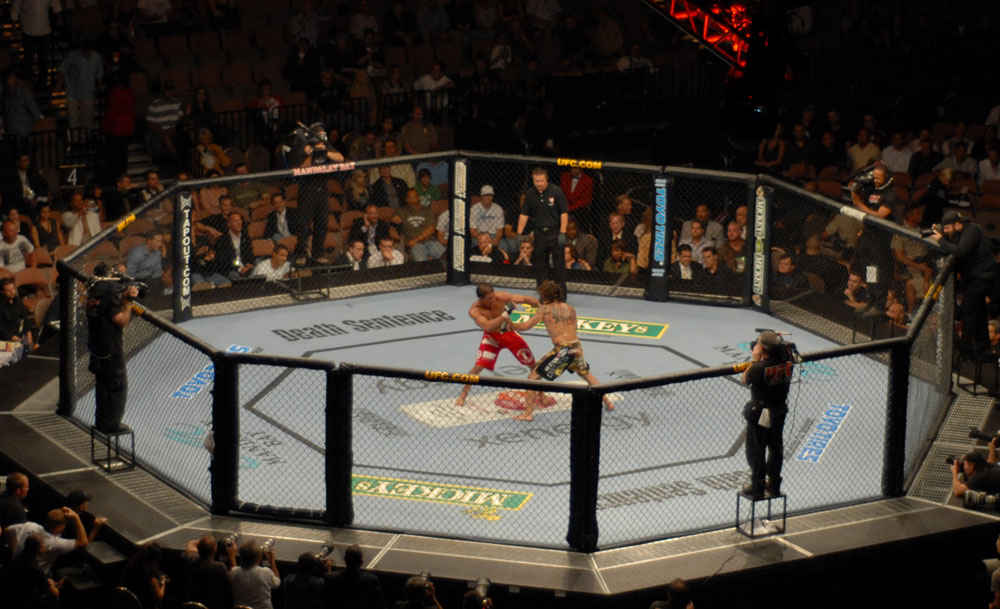 Beyaz Saray’da UFC dövüşü ve yarış arabaları: Milli park arazisi gasp mı