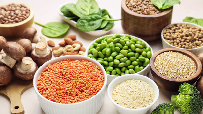 Bitkisel Protein İhtiyacı Karşılamaya Yeter mi? Uzmanlar Açıklıyor