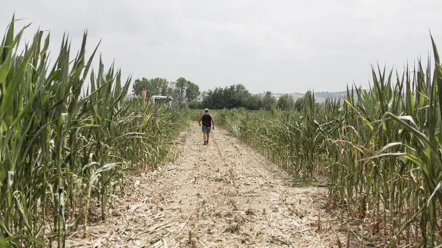 BM: El Nino, 2027’ye kadar 49 milyon kişiyi açlığa sürükleyebilir