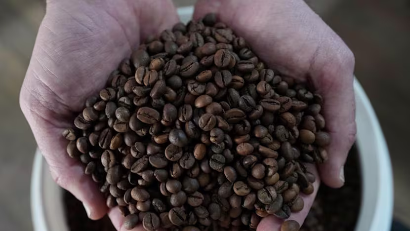Brezilya'dan ABD'ye hazır kahve ihracatında tarife uyarısı