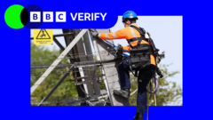 Britanya'da elektrik neden bu kadar pahalı