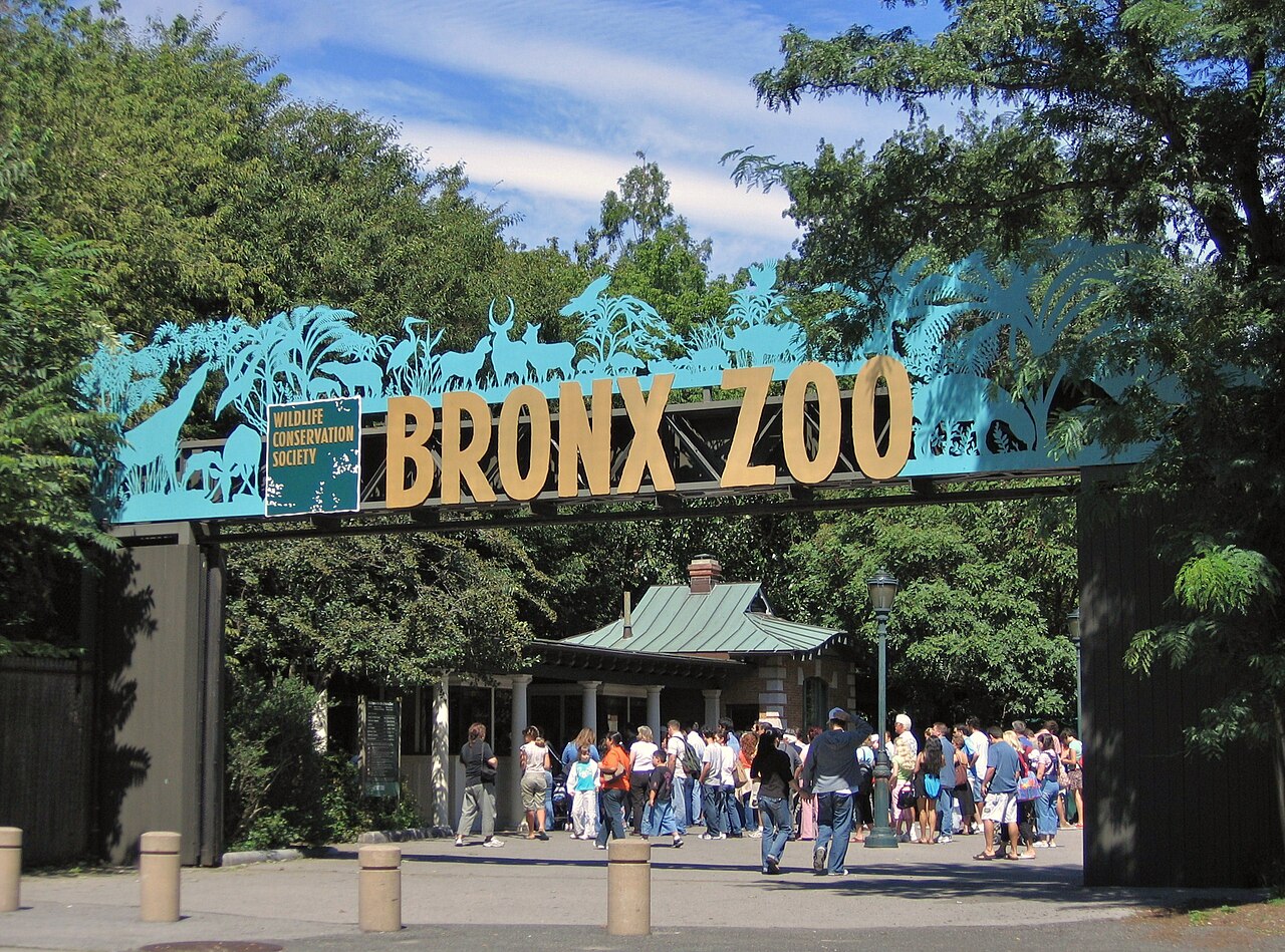 Bronx'ta Çocuk Vurulması: Mamdani'nin New York Değerlendirmesi