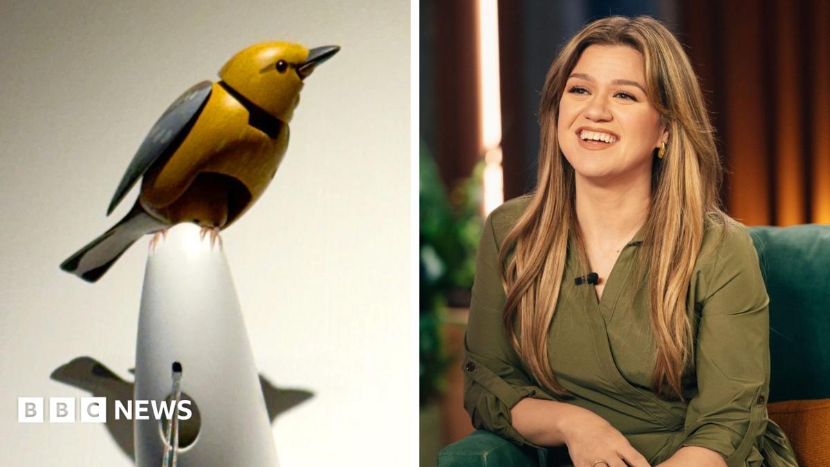 Brooklyn Oyuncakçısı ile Kelly Clarkson Arasında Mekanik Kuş Krizi