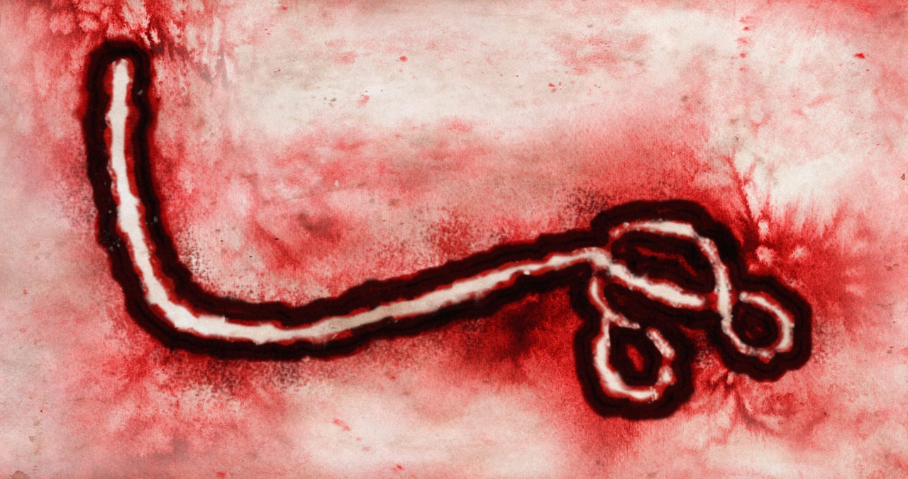 Bundibugyo Ebola Salgını Nasıl Durdurulabilir