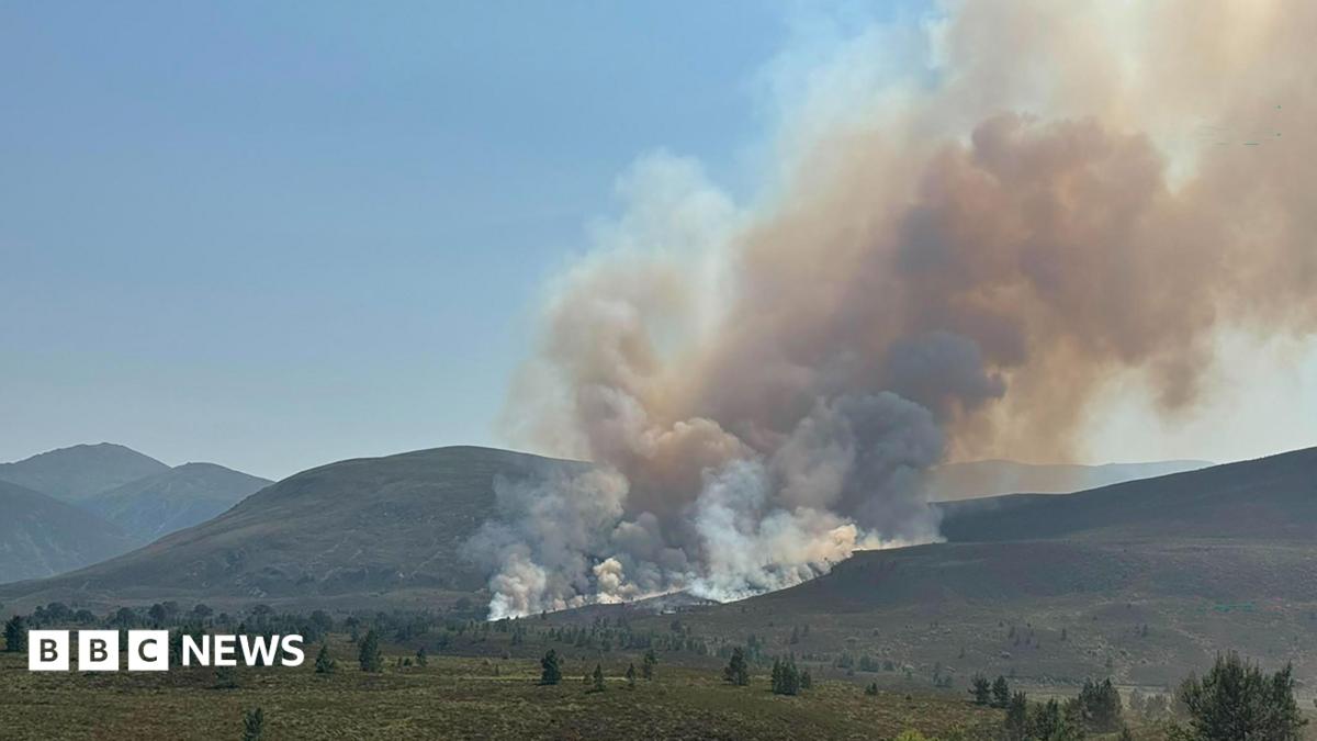 Cairngorms Ulusal Parkı'nda Orman Yangını: İtfaiye Gece Boyu Mücadele Etti