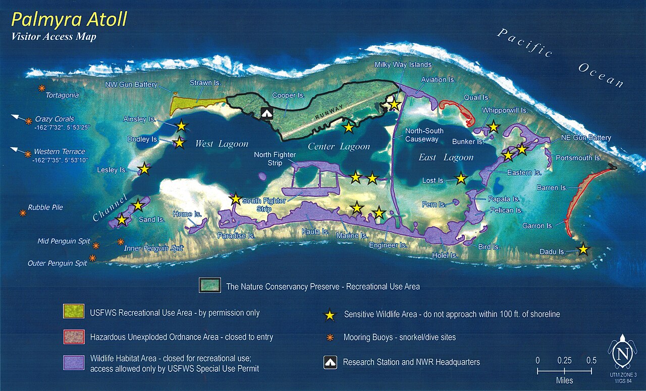 Cennet Adadaki Palmiye İstilasına Mantardan Çözüm