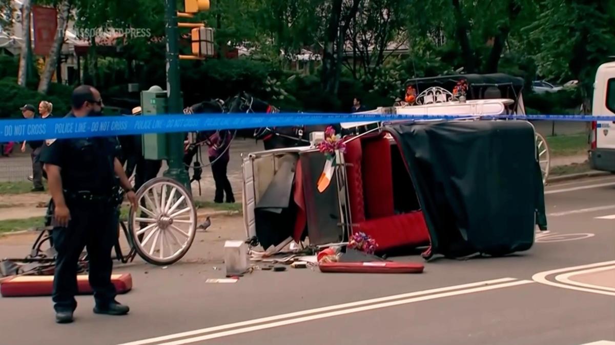 Central Park'ta ölen Hint genç: At arabaları yasasına adı verildi
