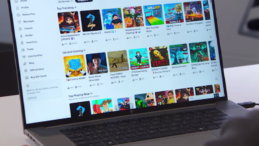 Çevrimiçi radikalleşme: Roblox tek başına sorun değil