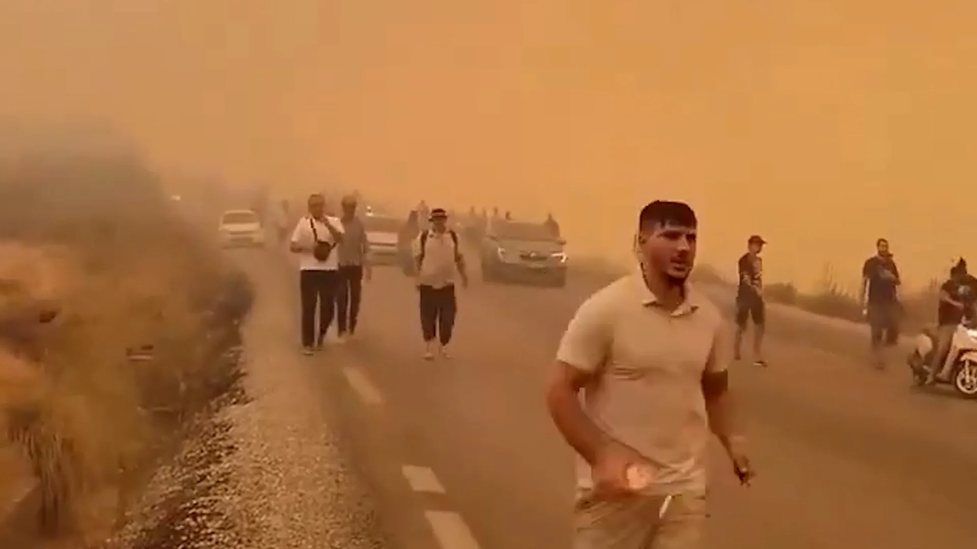 Cezayir'de 150'den fazla orman yangını: 12 ölü