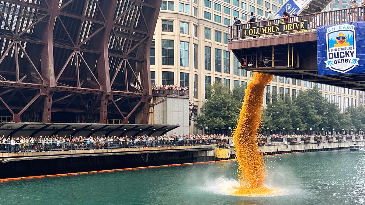Chicago Nehri'nde 90 Bin Lastik Ördek Yarışı: Yardım Rekoru