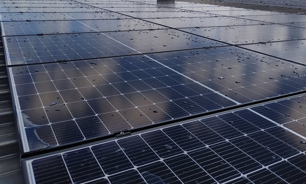 Çin, Hindistan ve Yeşil Uçurum: Küresel Güney’de Teknoloji Savaşı