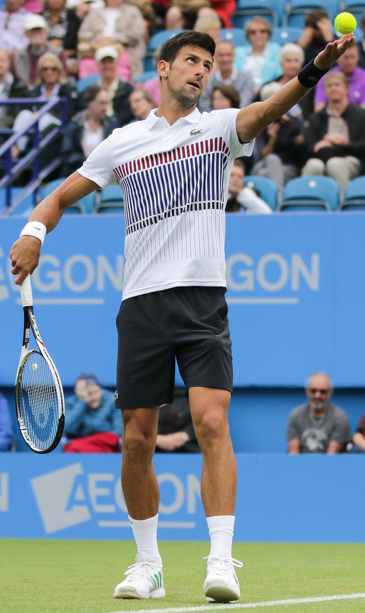 Cincinnati Açık: Djokovic, Tirante'ye Sürpriz Şekilde Elendi