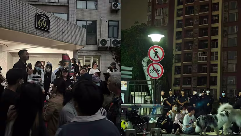 Çin'de hayvan istismarı videoları nadir sokak protestolarına yol açtı