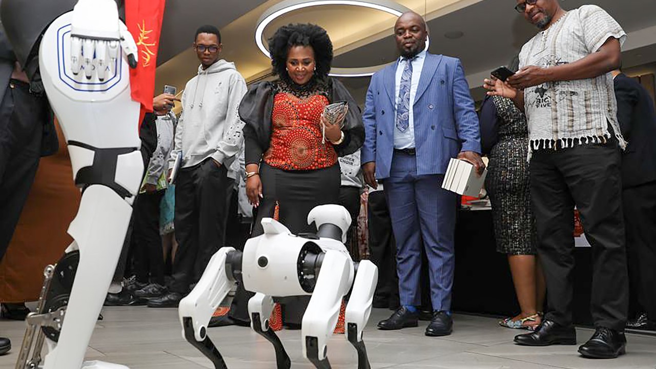 Çin'in Afrika'daki dans eden robotları iş birliği arıyor