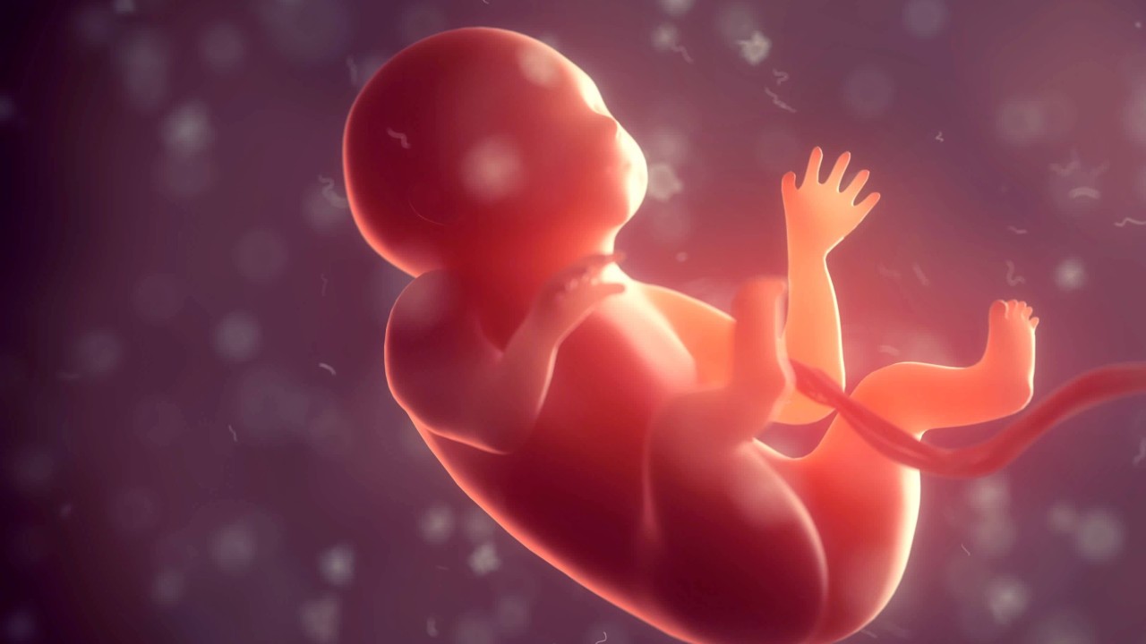 Çinli bilim insanları uzayda bebek yapmanın zor olduğunu doğruladı