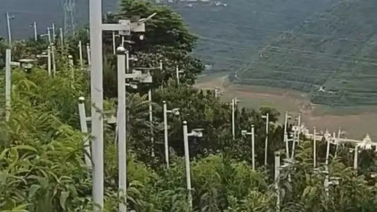 Çinli Çiftçinin Kamera Ormanı Tazminat Planı Söndü